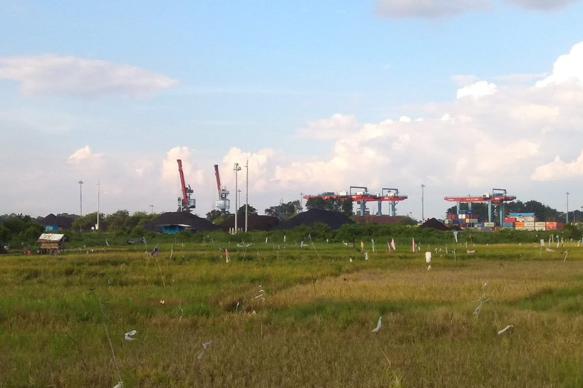 Sawah di Talang Duku sudah dibeli PT Pelindo. Foto: Yitno Soprapto/ Mongabay Indonesia