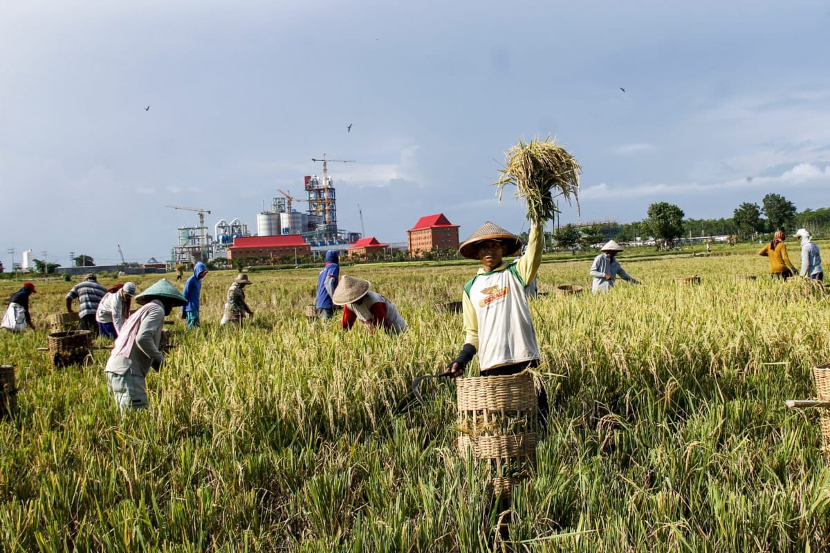 Potret petani berlatarkan Pabrik Semen milik PT Imasco Asiatic pada 30 April 2020. Foto: Vj Lie