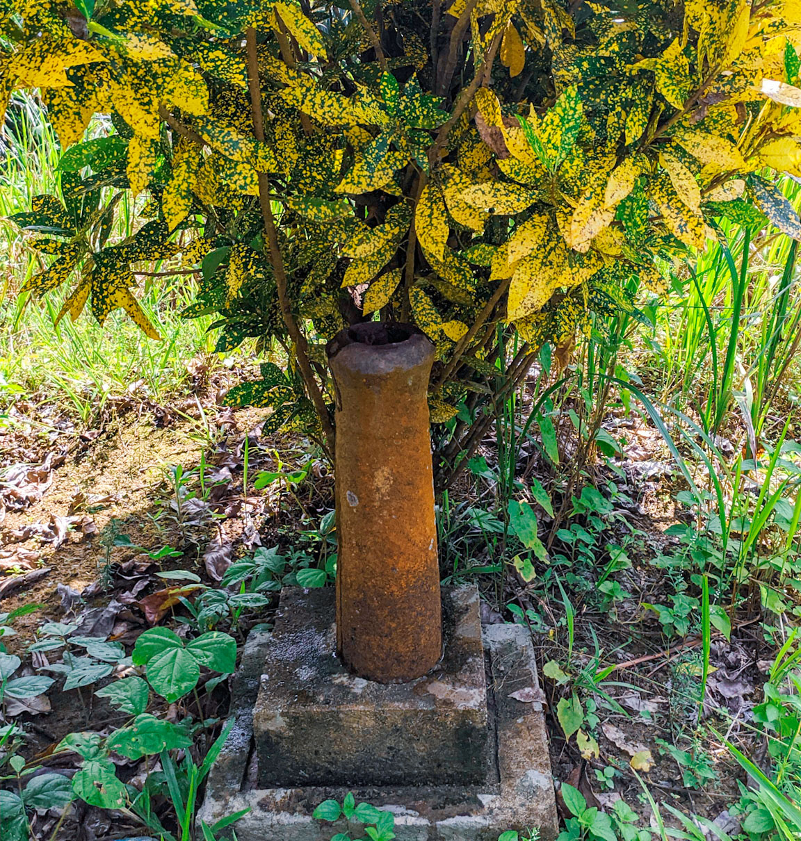 Makam Pontu, tetua adat Pahou di Towoni. Foto: Agus Mawan/ Mongabay Indonesia 