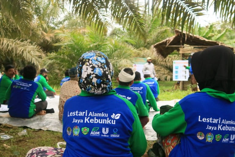 Petani mandiri di Desa Simataniari, Tapanuli Selatan, Sumatera Utara, banyak kelola kebun sawit secara otodidak dan seadanya. Mereka un ikut Sekolah Lapang yang mengajarkan tata kelola kebun sawit berkelanjutan. Foto: Masdalena Napitupulu