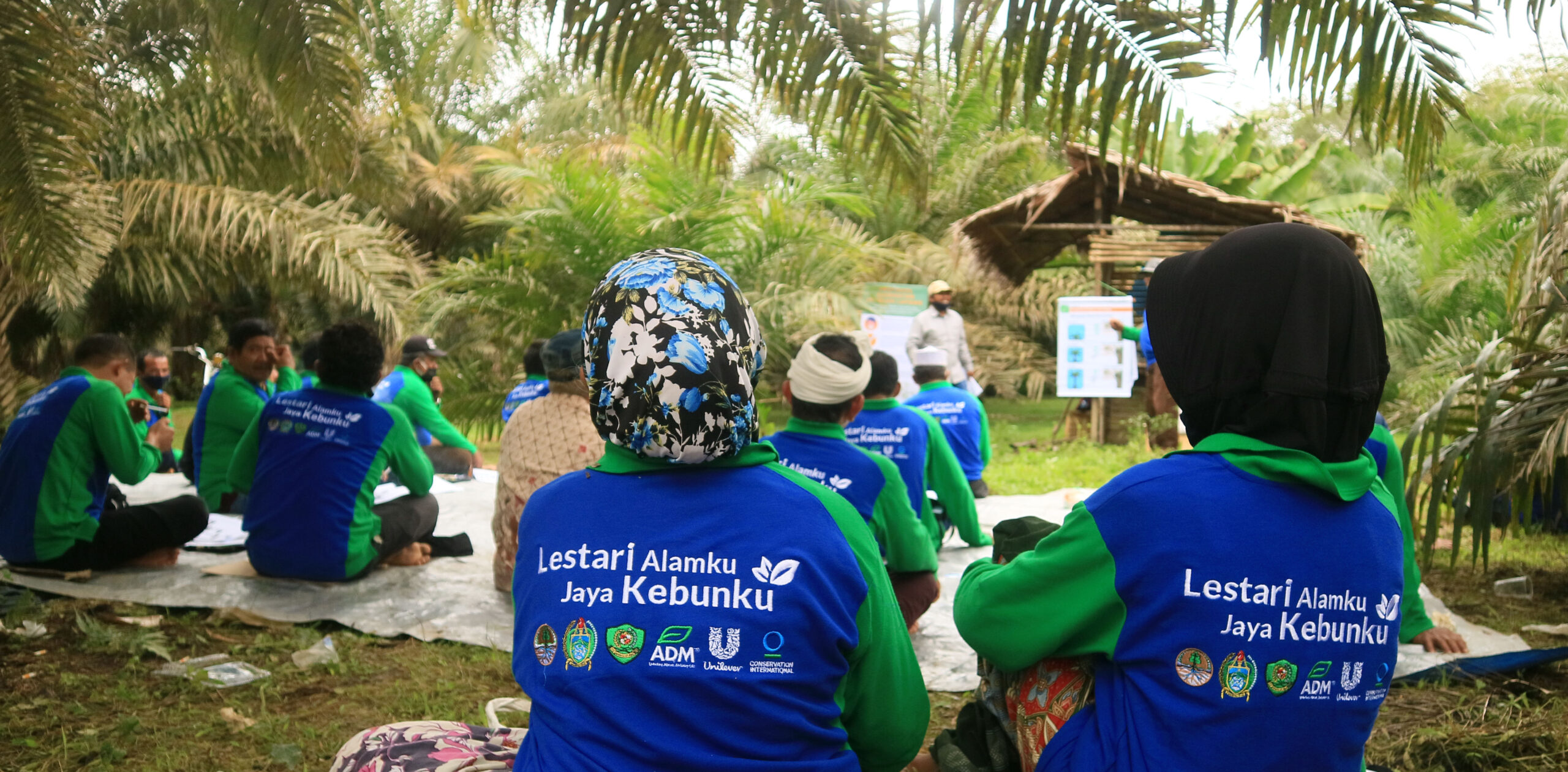 Petani mandiri di Desa Simataniari, Tapanuli Selatan, Sumatera Utara, banyak kelola kebun sawit secara otodidak dan seadanya. Mereka un ikut Sekolah Lapang yang mengajarkan tata kelola kebun sawit berkelanjutan. Foto: Masdalena Napitupulu
