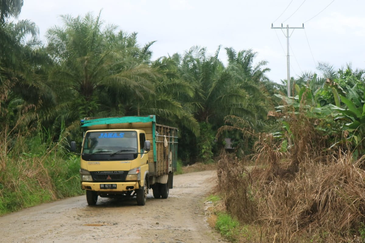 Truk pegangkut TBS petani, saat panen. Foto: Masdalena Napitupulu