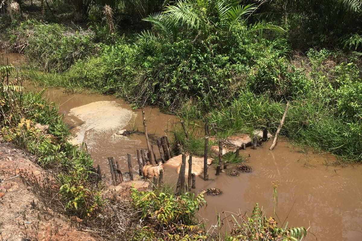 sekat/tabat kanal yg dibangun seadanya dan kondisi rusak di kanal batas antara lahan yang sudah ditanami dengan areal HCV PT. MAS. Dokumen Walhi Kalteng)