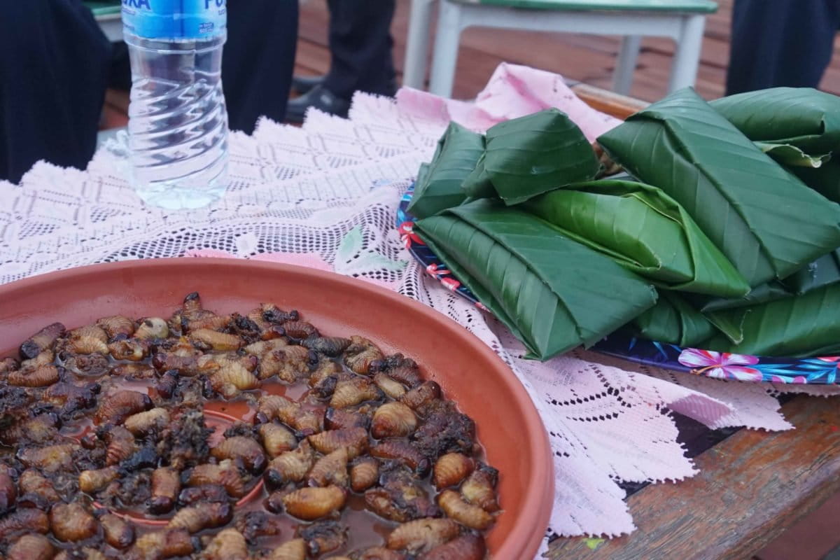 Ulat sagu siap santap. Foto: Naomy Wenda