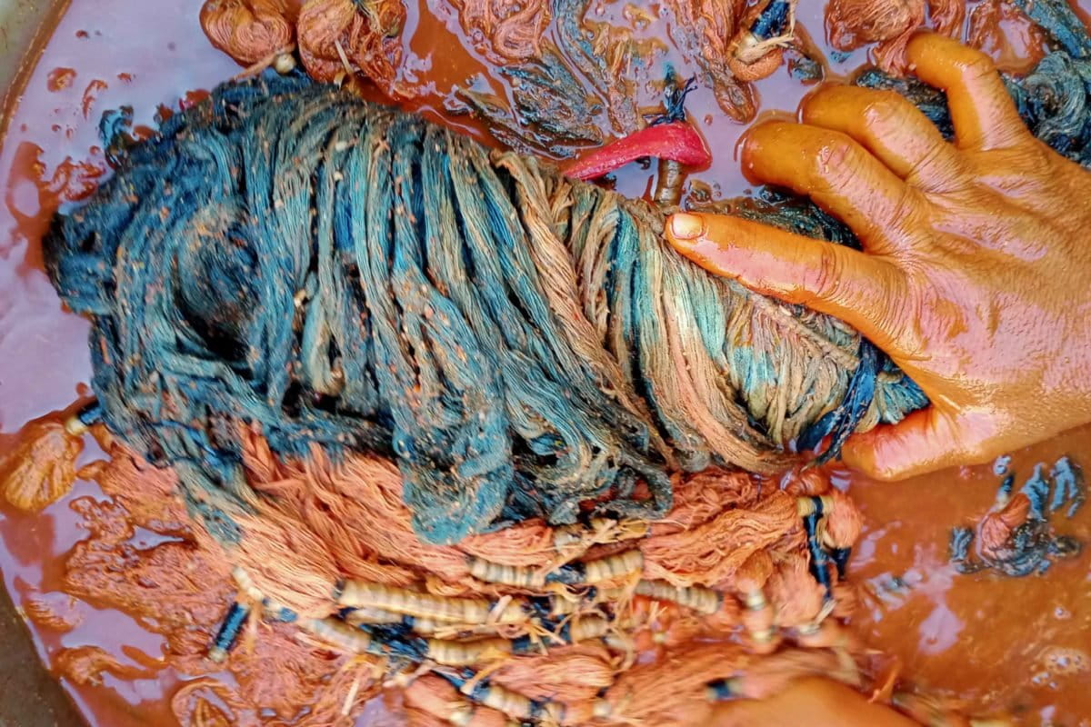 Proses pewarnaan dengan akar tanaman kombu atau morinda. Foto: Diana Timoria