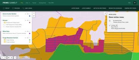 Konsesi perusahaan PT Metro Yakin Jaya berada sebagian di Desa Rantau Rasau, yang di dalamnya ada Dusun Sungai Palas. Garis-garis biru adalah sebaran kanal di lahan gambut.