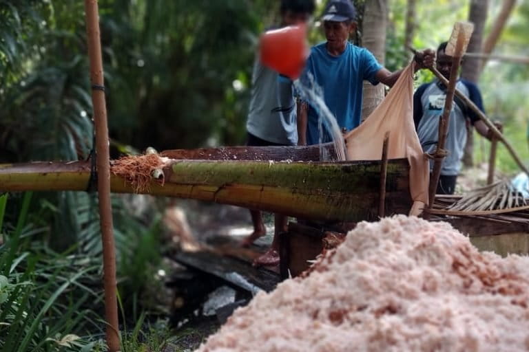 Proses membuat sa dengan cara tradisional. Foto: Mahmud Ichi/ Mongabay Indonesia