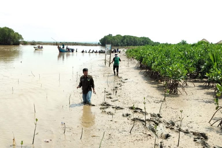 Penanaman mangrove di tepian Sungai Saroka, Saronggi, Sumenep. Kawasan ini selanjutnya akan jadi ekowisata mangrove. Foto: M Tamimi/ Mongabay Indonesia