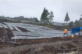 Lahan food estate di Desa Ria Ria, Humbang Hasundutan, Sumatera Utara, mulai ditanami. Foto: Barita News Lumbangbatu/ Mongabay Indonesia