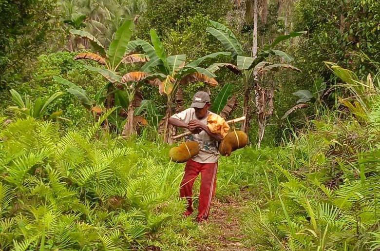 warga-Sage-yang-beraktivitas-di-lahan-perkebunan-mereka-tak-jauh-dari-kawasan-Goa-Boki-Maruru-foto-M-Ichi.jpg January 20, 2021