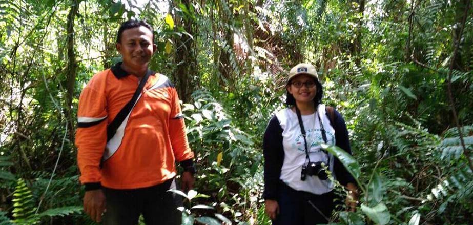 Berada di huatn desa Rawa Mekar Jaya. Riau. Hutan desa dengan rawa gambut dan tutupan lumayan bagus. Foto: