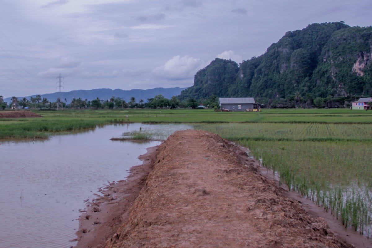 Proyek rel kereta api yang melalui sawah warga Rammang-rammang. Foto: Eko Rusdianto/ Mongabay Indonesia