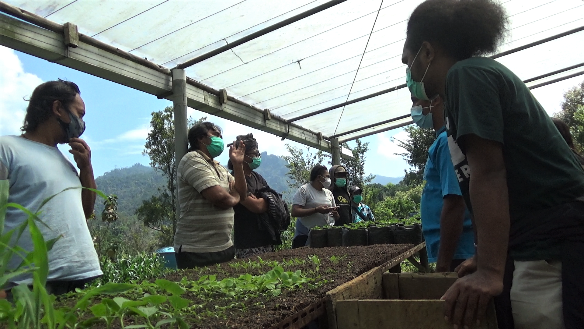 sayur mayur organik di Pagerharjo. Foto: Nuswantoro/ Mongabay Indonesia