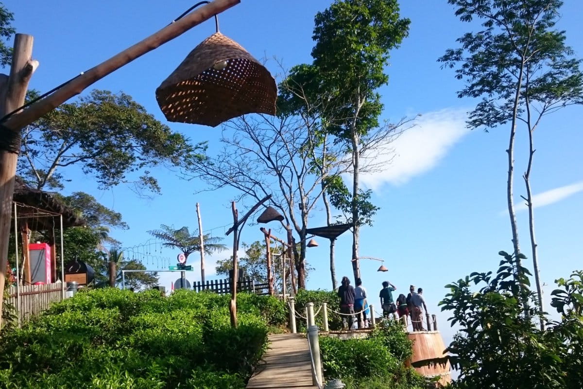 Suasana kebun teh Menoreh di Nglinggo, Samigaluh, Kulon Progo. Teh yang ditanam dengan memperhatikan aspek berkelanjutan ini juga jadi salah satu produk yang dijual di Pasar Sempulur. Foto: Nuswantoro/ Mongabay Indonesia