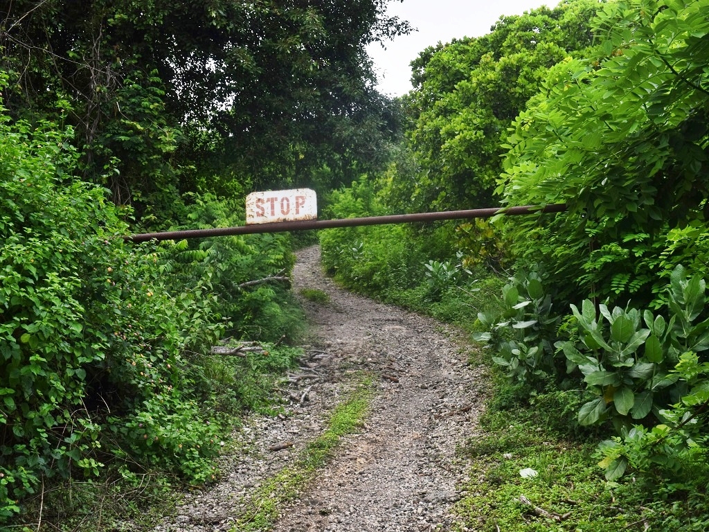 Jalan-jalan tanah yang membelah hutan lamtoro mengitari perbukitan di areal bekas tambang mangan di Lingko Neni, Kampung Lengko Lolok, Desa Satar Punda,Kabupaten Manggarai Timur,NTT. Foto : Ebed de Rosary/Mongabay Indonesia.