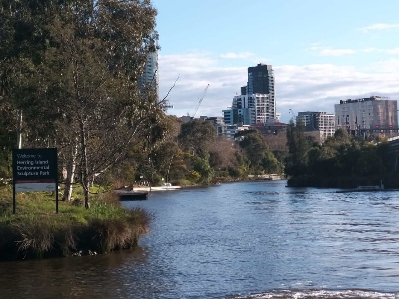 Dengan berbagai aksi peduli sampah dan kebersihan, Sungai Yarra jadi bersih dari sampah. Foto: Sapariah Saturi/ Mongabay Indonesia