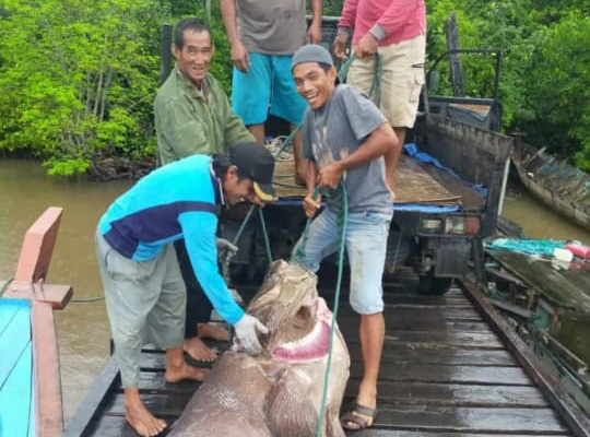 Nelayan tradisional Natuna, usai pancing (tangkap) ikan. Foto: Yoga Eka Sahputra/ Mongabay Indonesia