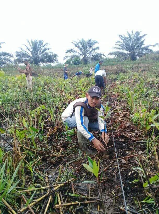 Kelompok Tani Nipah mendapat izin kelola dari KLHK namun di dalam kawasan hutan itu ada puluhan hektar kebun sawit ilegal. Foto: Ayat S Karokaro/ Mongabay Indonesia