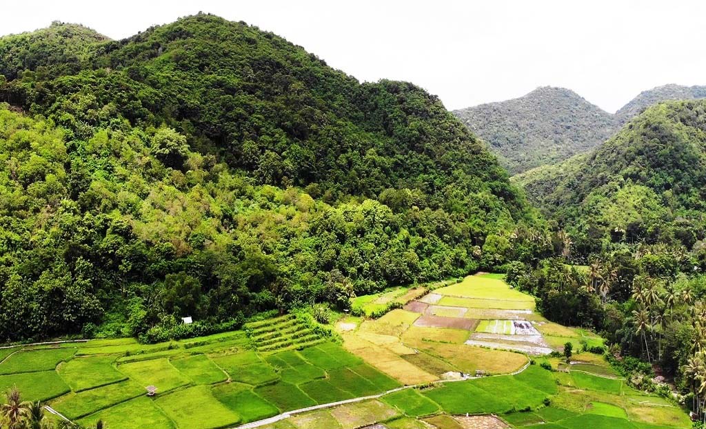 Perbukitan karst di Desa Satar Punda, Kecamatan Lamba Leda, Kabupaten Manggarai Timur,NTT yang selalu diincar investor karena memiliki kandungan batu gamping dan mangan. Foto : Ebed de Rosary/Mongabay Indonesia.