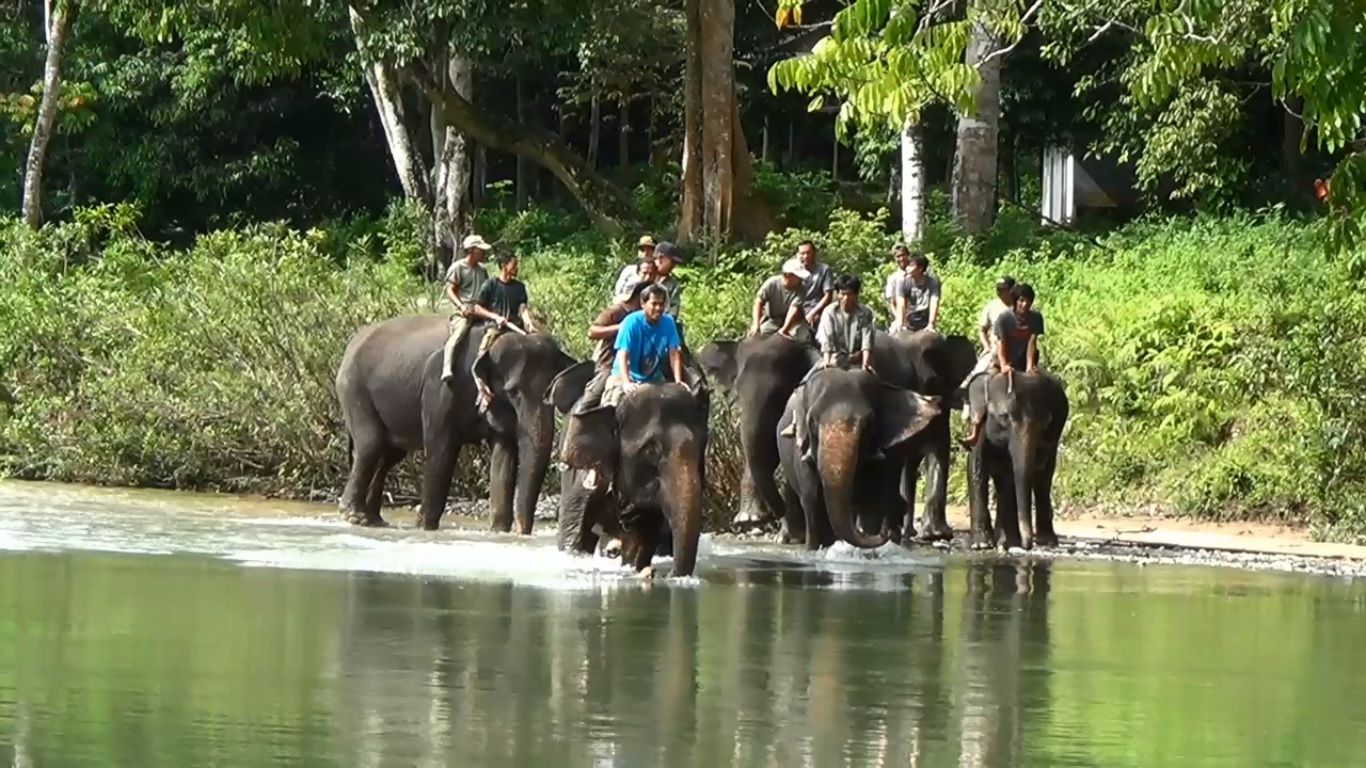 Tim Patroli BBTNGL. Foto: Ayat S Karokaro/ Mongabay Indonesia