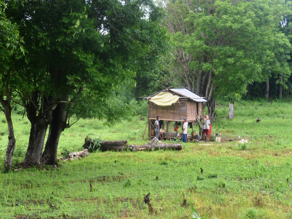 Pondok di kebun milik warga Kampung Lengko Lolok, Desa Satar Punda, Kecamatan Lamba Leda, Kabupaten Manggarai Timur,NTT. Foto : Ebed de Rosary/Mongabay Indonesia.