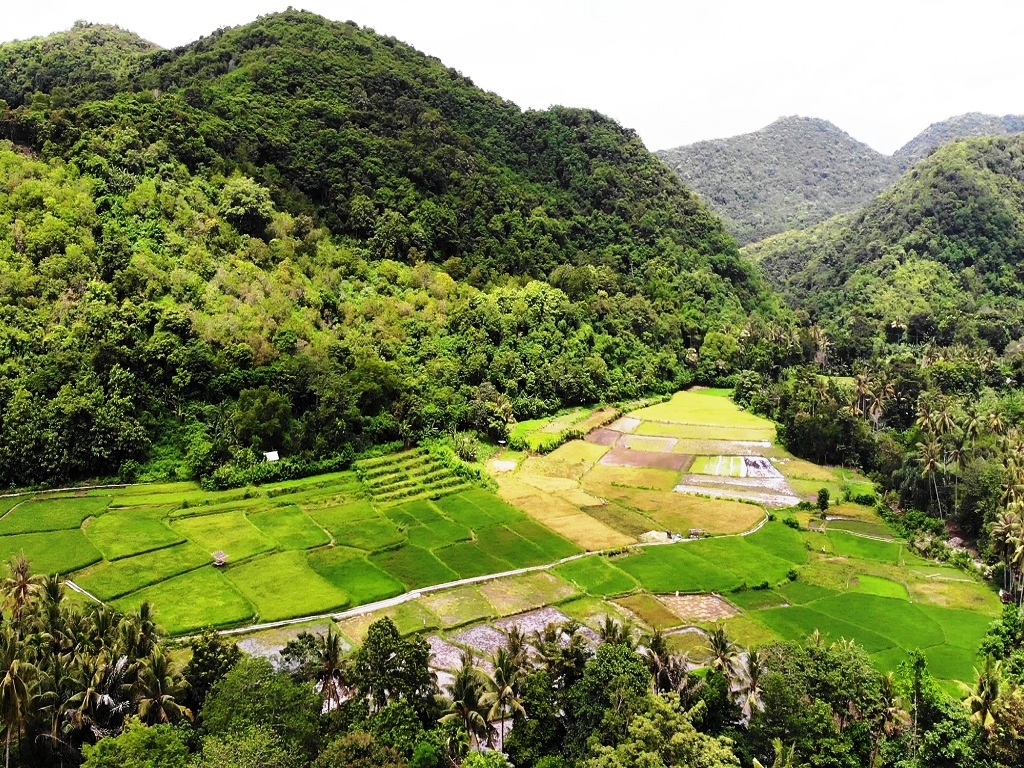 Areal persawahan di Desa Satar Punda, Kecamatan Lamba Leda, Kabupaten Manggarai Timur,NTT.Foto : Ebed de Rosary/Mongabay Indonesia.