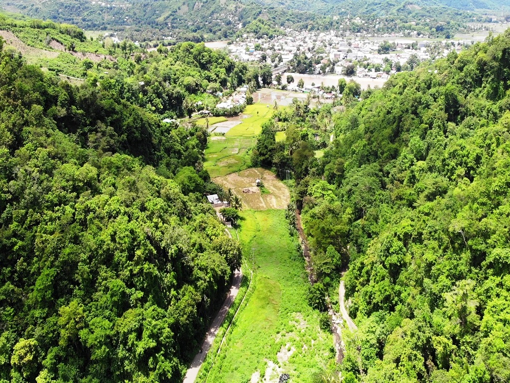 Perbukitan di wilayah Desa Satar Punda Barat dan Satar Punda, Kecamatan Lamba Leda,Kabupaten Manggarai Timur yang berbatasan dengan Reo,Ibukota Kecamatan Reok,Kabupaten Manggarai yang terpisah oleh Kali wae Pesi.Foto : Ebed de Rosary/Mongabay Indonesia.