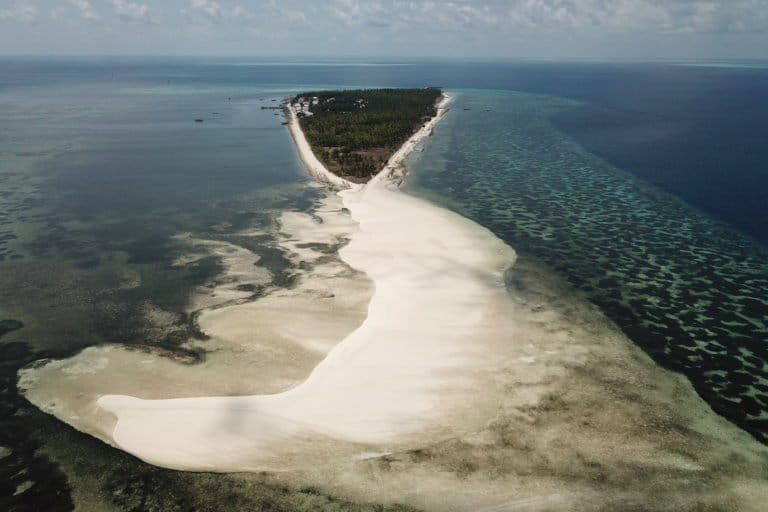 Pulau Lantigiang, di Kabupaten Kepulauan Selayar, Sulawesi Selatan . Para pengjung pantai bermain bersama anakan hiu. Foto: Balai Taman Nasional Taka Bonerate