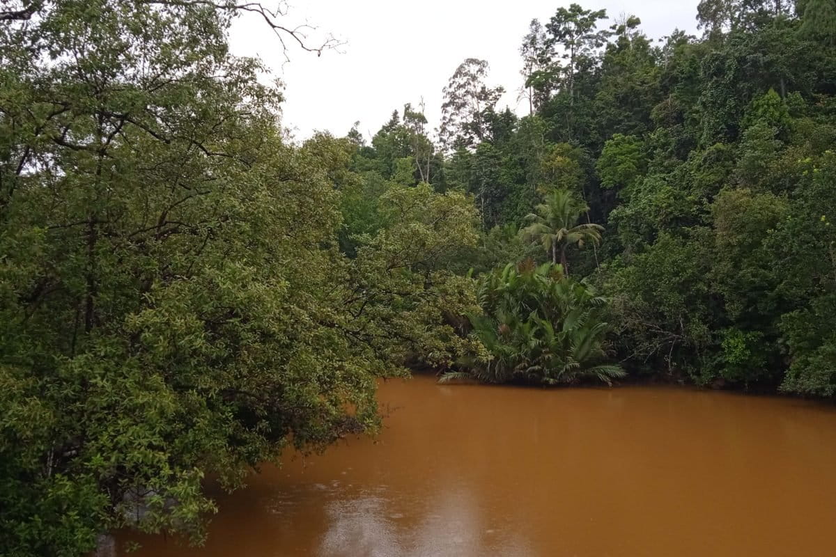 Air Sungai Waleh, yang berubah keruh kemerah-merahan diduga kuar kaena operasi tambang nikel. Foto: Mahmud Ichi/ Mongabay Indonesia