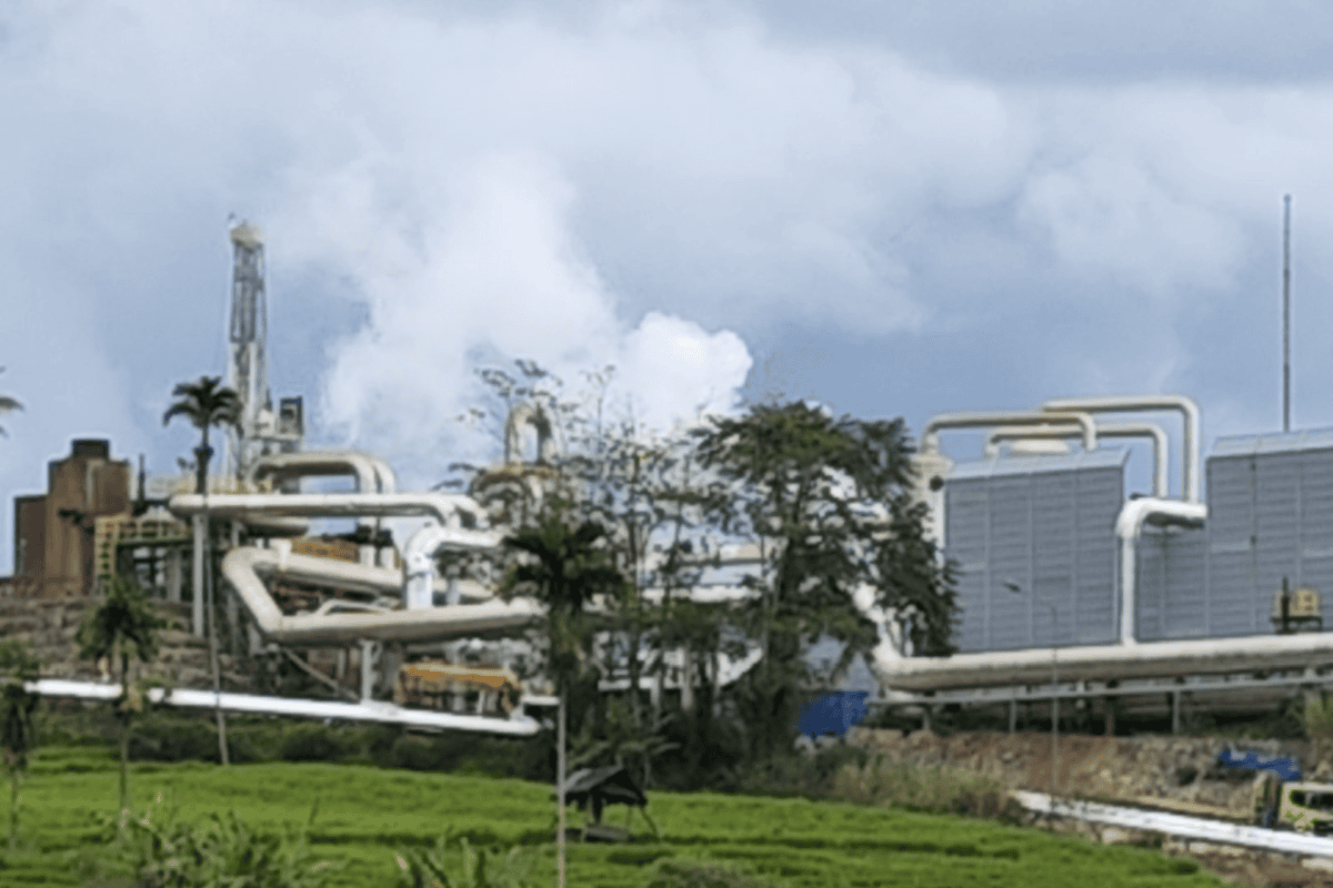 . Dugaan kuat mereka terhirup gas beracun yang bocor dari sumur pengeboran pembangkit panas bumi PT Sorik Marapi Geothermal Power (SMGP). Foto: Ayat S Karokaro/ Mongabay Indonesia