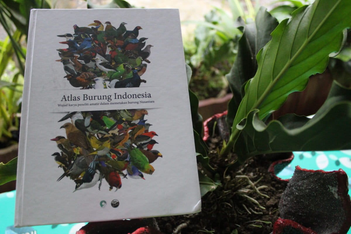 Buku Atlas Burung Indonesia berisi 713 jenis burung setebal 616 halaman diterbitkan Yayasan Burung Indonesia. Foto: Eko Widianto/ Mongabay Indonesia