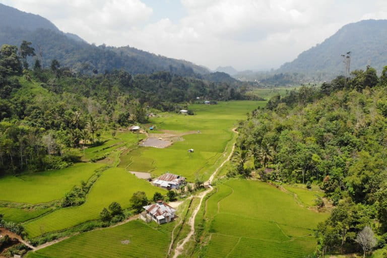 persawahan jorong Simancuang. Dok: KKI Warsi