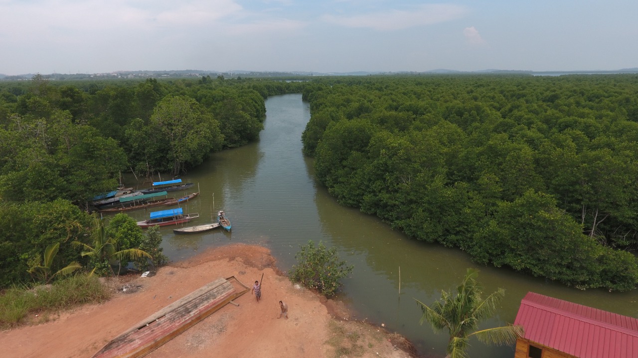 Hutan mangove yang sebagian rusak. Foto: Yogi ES? m Mongabay Indonesia