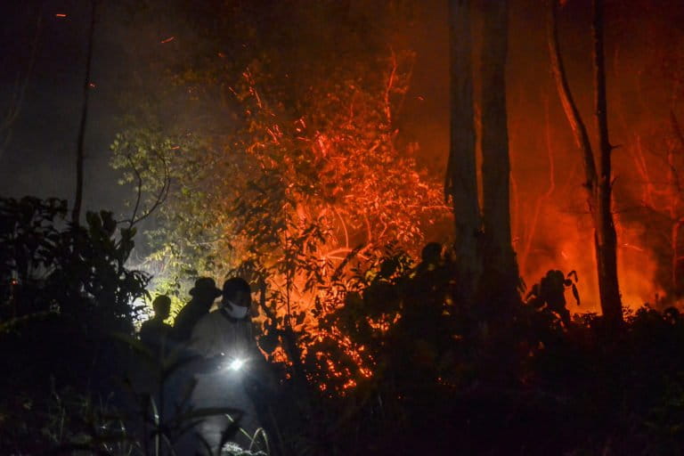 Petugas Badan Penanggulan Bencana Daerah kota Pekanbaru bersama TNI dan Polri memadamkan api di kawasan hutan lindung yang berbatasan dengan lahan masyarakat di Kecamatan Rumbai Pesisir, Pekanbaru, Riau, Senin (1/3/2021) malam. Kebakaran Hutan dan Lahan (Karhutla) di wilayah provinsi Riau menjadi ancaman baru ditengah Pandemi Covid-19. (Wahyudi/Mongabay)