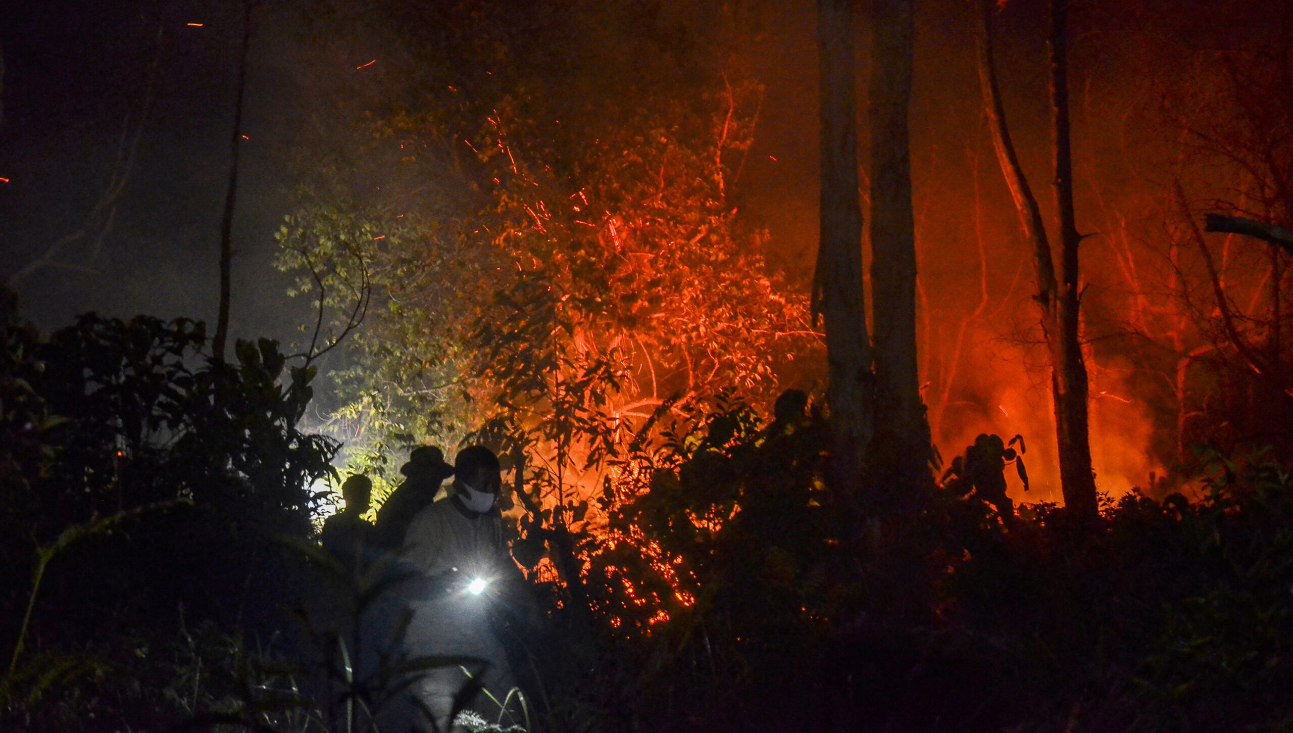Petugas Badan Penanggulan Bencana Daerah kota Pekanbaru bersama TNI dan Polri memadamkan api di kawasan hutan lindung yang berbatasan dengan lahan masyarakat di Kecamatan Rumbai Pesisir, Pekanbaru, Riau, Senin (1/3/2021) malam. Kebakaran Hutan dan Lahan (Karhutla) di wilayah provinsi Riau menjadi ancaman baru ditengah Pandemi Covid-19. (Wahyudi/Mongabay)