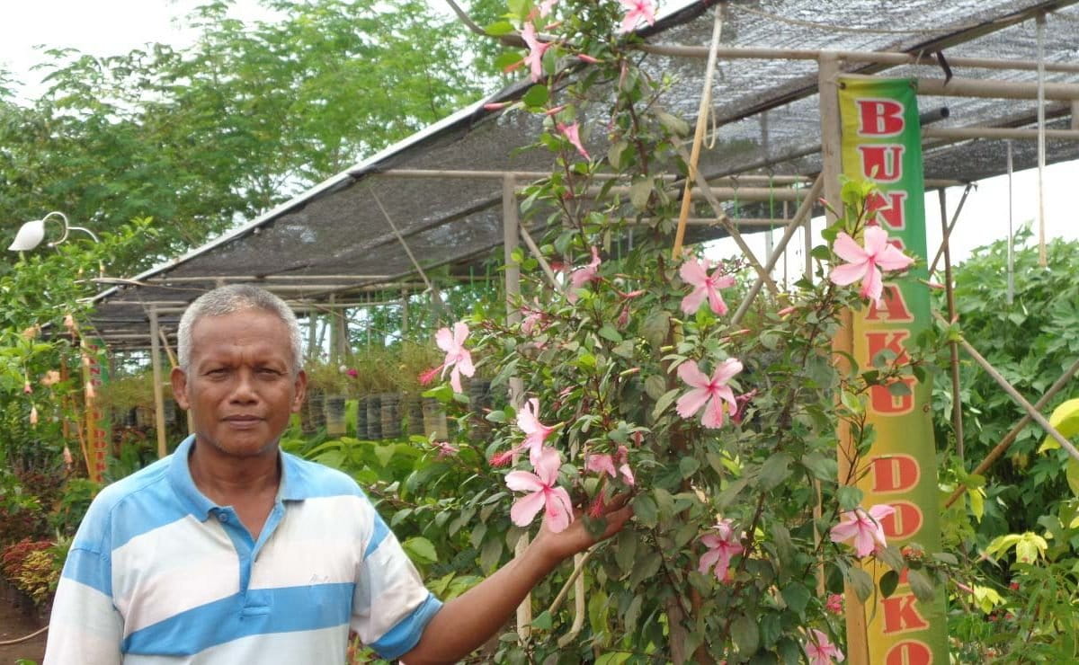 ATTACHMENT DETAILS Dedi-Suji-salah-satu-penjual-bunga-hias-di-Merauke-Jl.-Kamizaun.-Dirinya-sangat-senang-memelihara-bunga.-Foto.-Agapitus-Batbual-1.jpg March 7, 2021