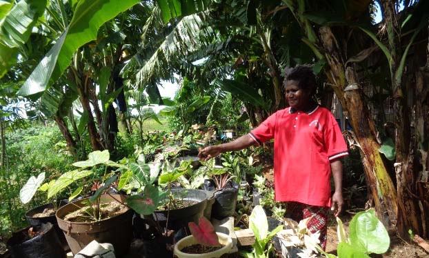 Ndiken tengah menyiram tanaman hiasnya. Foto: Agapitus Batbual/ Mongbay Indonesia