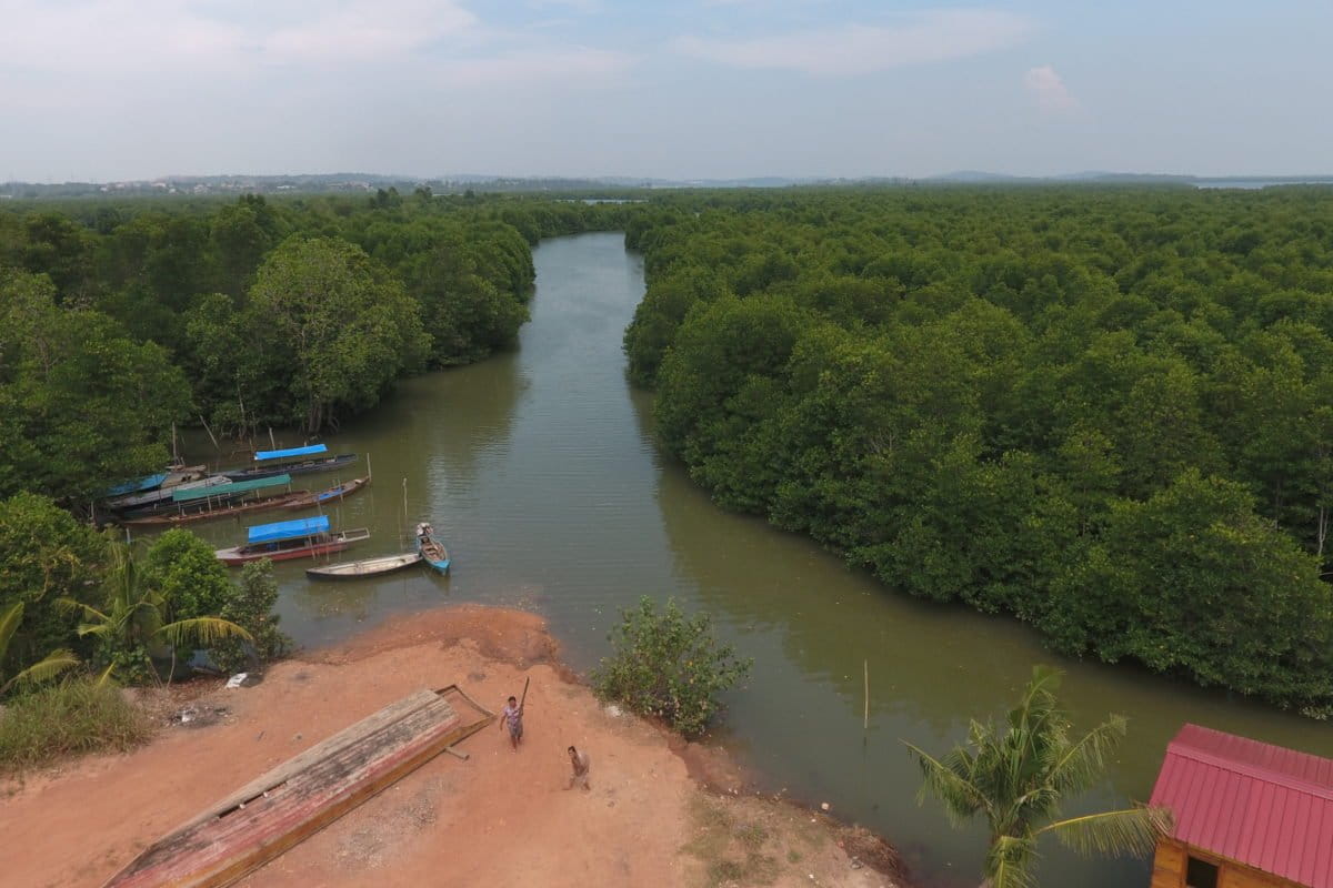 Penampakan suburnya mangrove di Kota Batam, Provinsi Kepulauan Riau. Mangrove di Batam retan dirusak untuk kepentingan ekonomo. Foto=Yogi.jpg