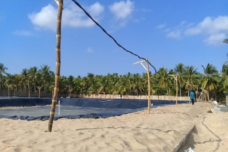 Tambak udang saat sedang digarap. Foto: Moh. Tamimi/Mongabay Indonesia 