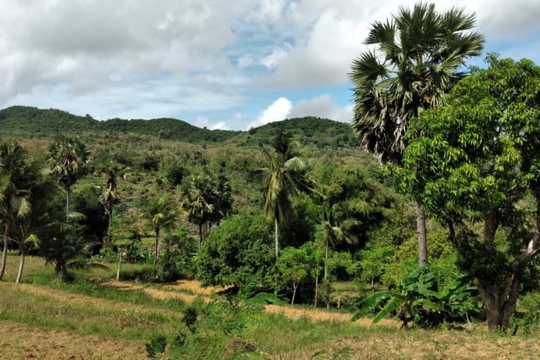 Bentang karst di Sumenep, Madura. Foto: Moh Tamimi/ Mongabay Indonesia