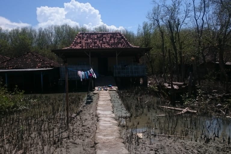 Rumah warga di Bedono, Demak, yang sering terkena rob. Foto: Nuswantoro/ Mongabay Indonesia