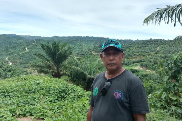 Hutan dan kebun-kebun warga sudah berubah jadi tanaman monukultur, sawit di Gane. Ribuan hektar. Hutan dan kebun itu merupakan habitat satwa, antara lain burung endemik Malut. Ka manakah burung-burung itu kini kala rumahnya jadi kebun sawit? Foto: Ajun Thanjer