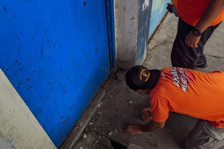 Dani memberi makan anjing yang terkurung dalam rumah pasca bencana. Foto: Agus Mawan/ Mongabay Indonesia