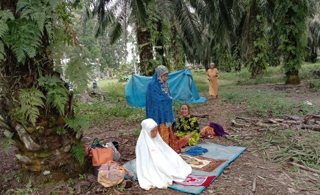 Konflik lahan puluhan tahun antara warga adat Pantai Raja dan perusahaan sawit negara, PTPN V tak kunjung usai. Warga protes dan menduduki kembali lahan adat mereka yang kini sudah berubah jadi kebun sawit. Foto: dokumen warga