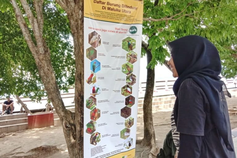 Poster kampanye satwa dari Komunitas Fotografi Satwaliar Halmahera. Foto: Mahmud Ichi/ Mongabay Indonesia