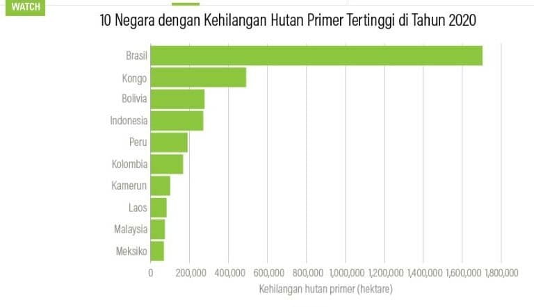 Sumber: Global Forest Watch