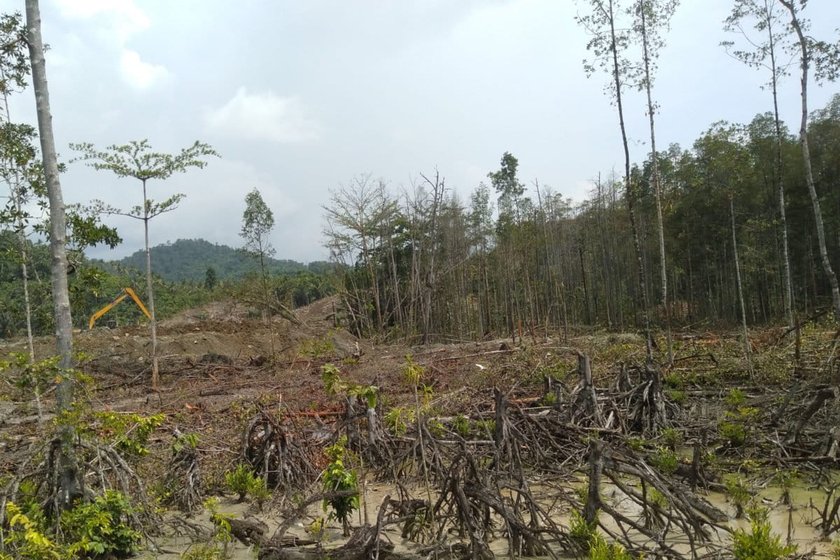 Tergusur untuk industri nikel di Halmahera. Foto: Rabul Sawal