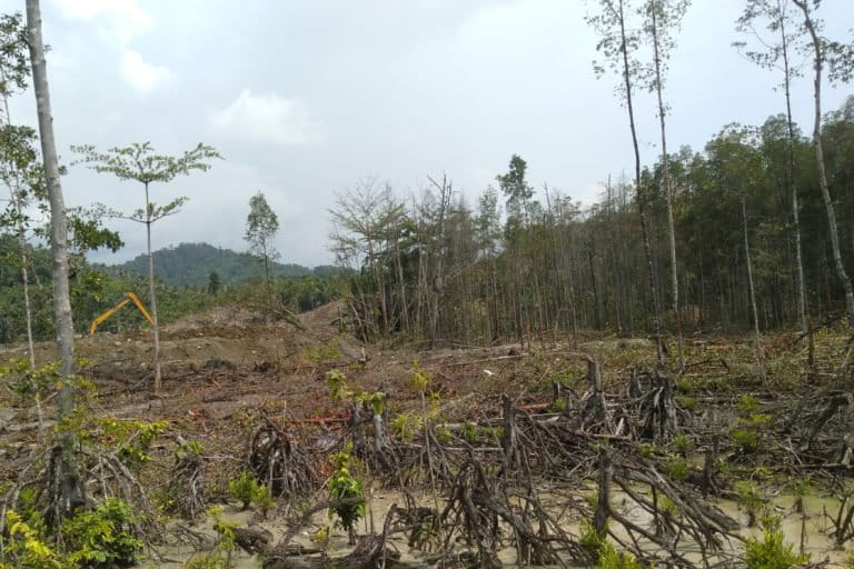 Tergusur untuk industri nikel di Halmahera. Foto: Ajun Thanjer
