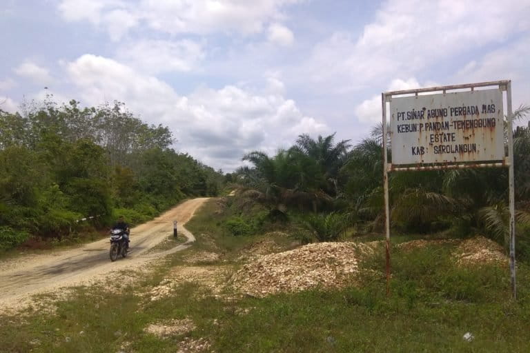 Lahan masuk konsesi PT SAPM di Keacamatan Limun, Jambi. Foto: Yitno Supriyanto/ Mongabay Indonesia