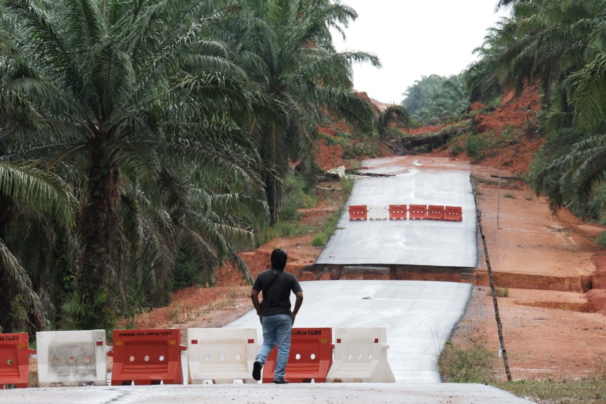 Jalan di kebun sawit yang longsor di Bintan. Foto: Yogi Eka Sahputra/ Mongabay Indonesia